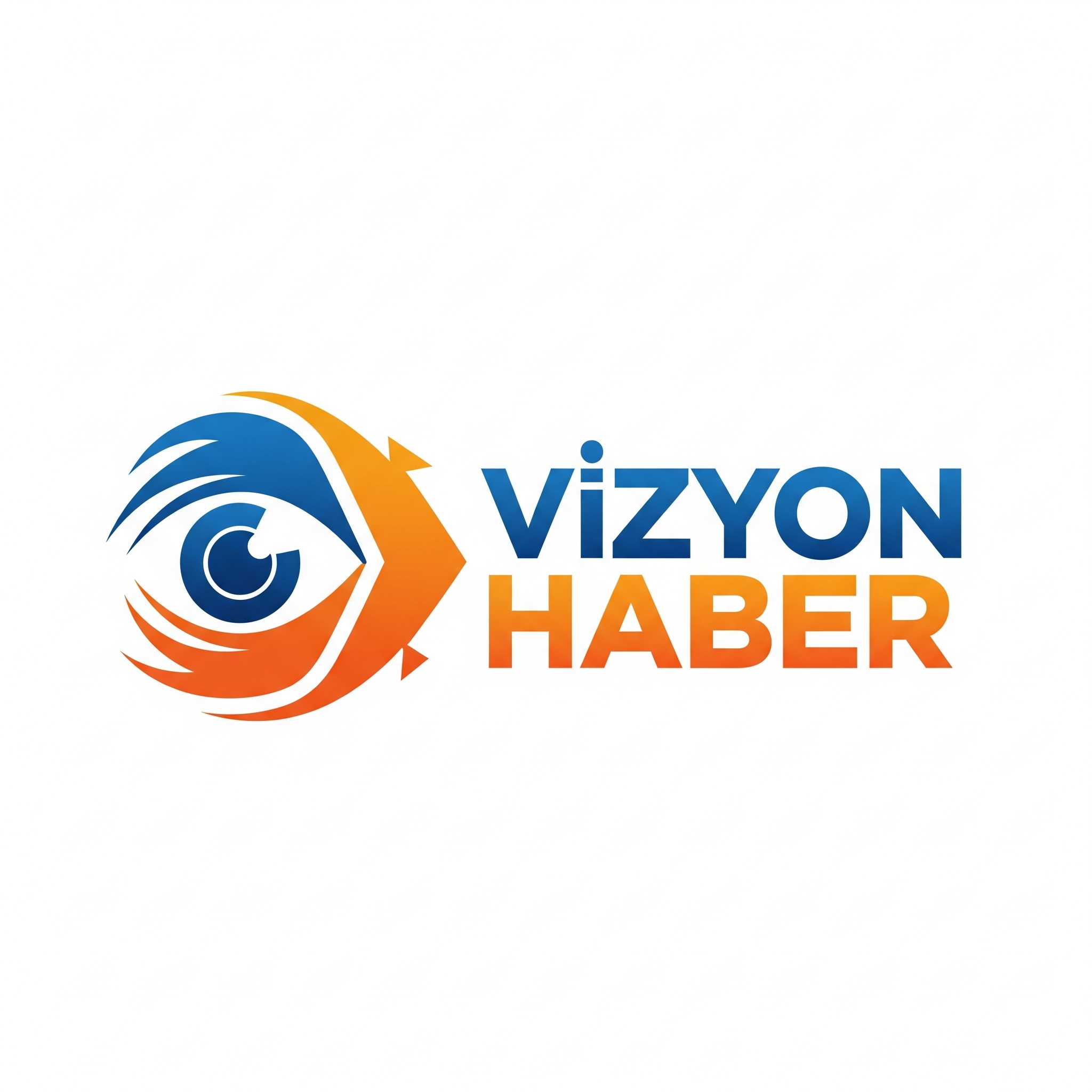 vizyonhaber.online