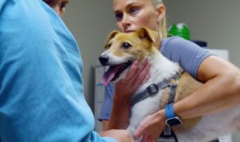 ‘Heartland Veterinerleri: Pati ve Pençe’, 3 Kasım Pazartesi 21.00’de National Geographic WILD Ekranlarında İzleyicilerle Buluşuyor!