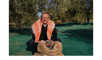 Mesut Ergin: “Dünya Zeytin Ağacı Günü Kutlu Olsun”