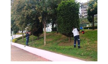 Büyükşehir’den yeşil alanlara özel bakım