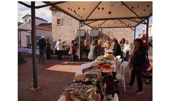 Her Şey Ayvalık Fidanları İçin