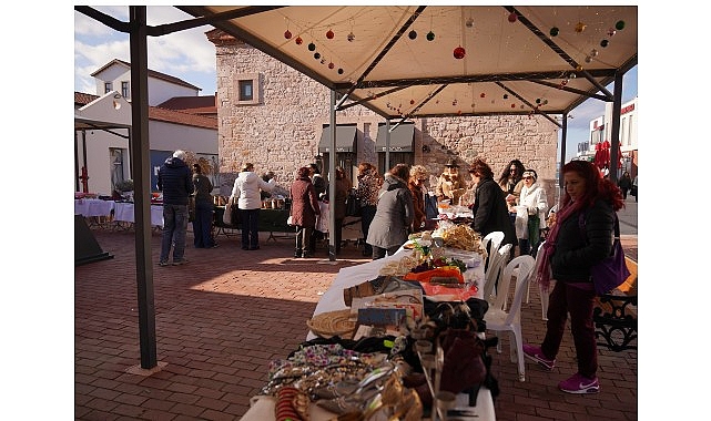 Her Şey Ayvalık Fidanları İçin