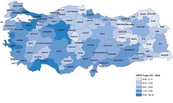 İl Bazında Gayrisafi Yurt İçi Hasıla, 2024