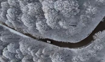 Kocaeli hasreti kameralarla gideriliyor