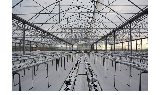 Termal Sera İle Verimli Üretim Başlıyor