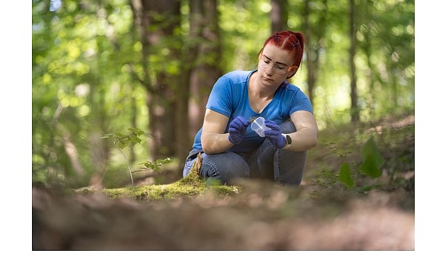 British Council’dan Türkiye’de STEM alanlarında mezun kadın adaylara İngiltere’de tam burslu yüksek lisans fırsatı