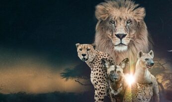 ‘Vahşi Krallık: Klanların Savaşı’, 22 Şubat Pazar Saat 20.00’de İki Bölüm Art Arda National Geographic WILD Ekranlarında!