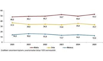 Yaşam Memnuniyeti Araştırması, 2025
