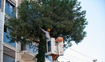 Karşıyaka’da budama seferberliği: Ağaçlar bahara hazırlanıyor