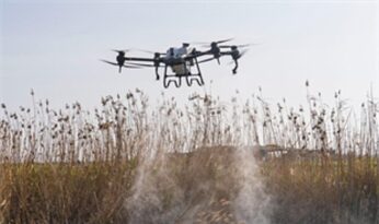 Sivrisinek ve zararlılara karşı İzmir modeli